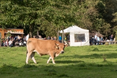 P1750423