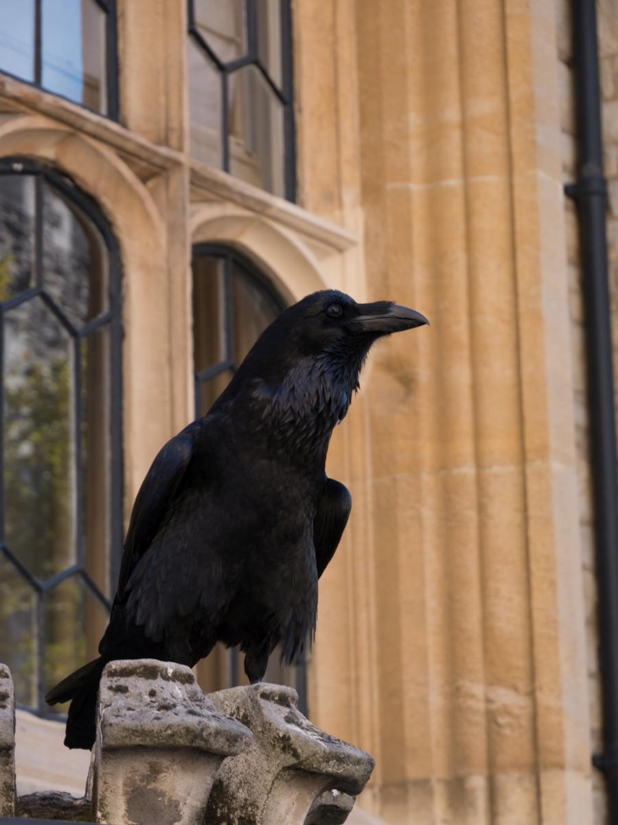 P1840137